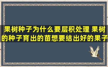 果树种子为什么要层积处理 果树的种子育出的苗想要结出好的果子一定要嫁接吗